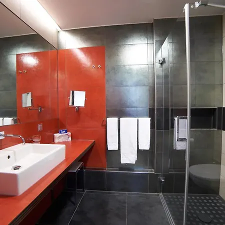 麦克斯哈德酒店 4* 韦尔斯