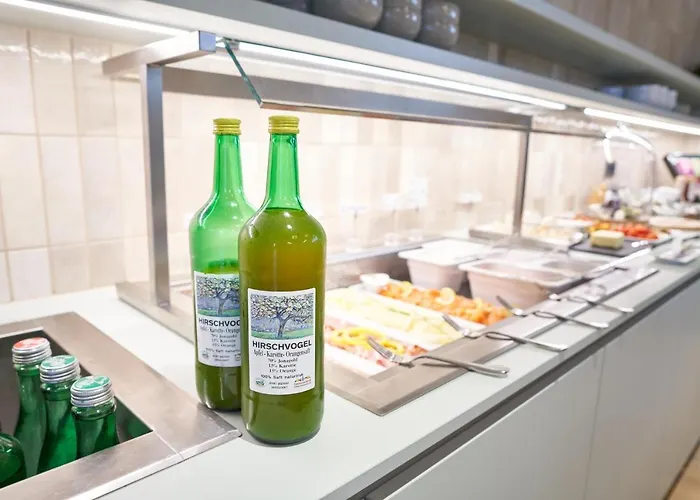 호텔 Maxlhaid 벨스